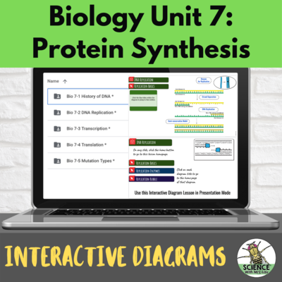 Biology Interactive Diagrams: Unit 7 Protein Synthesis