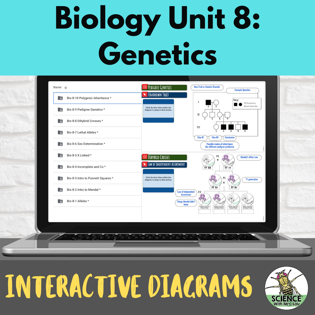 Biology Interactive Diagrams: Unit 8 Genetics