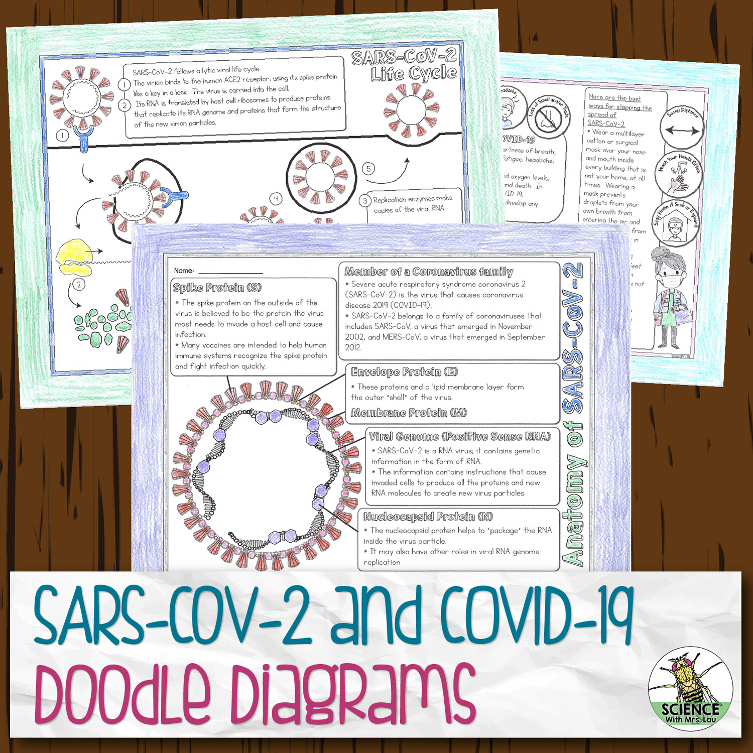 SARS-CoV-2 and COVID-19 Doodle Diagram Notes