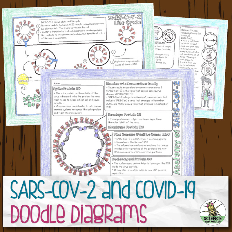 SARS-CoV-2 and COVID-19 Doodle Diagram Notes