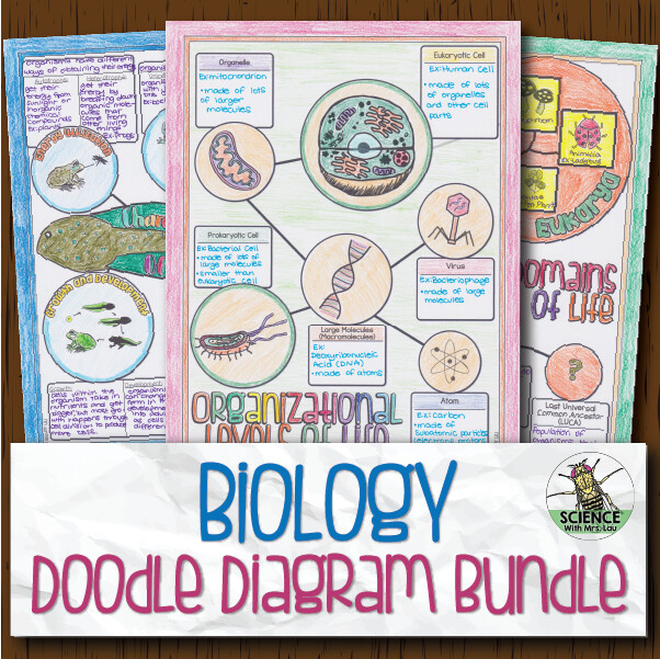 Biology Doodle Diagrams Bundle