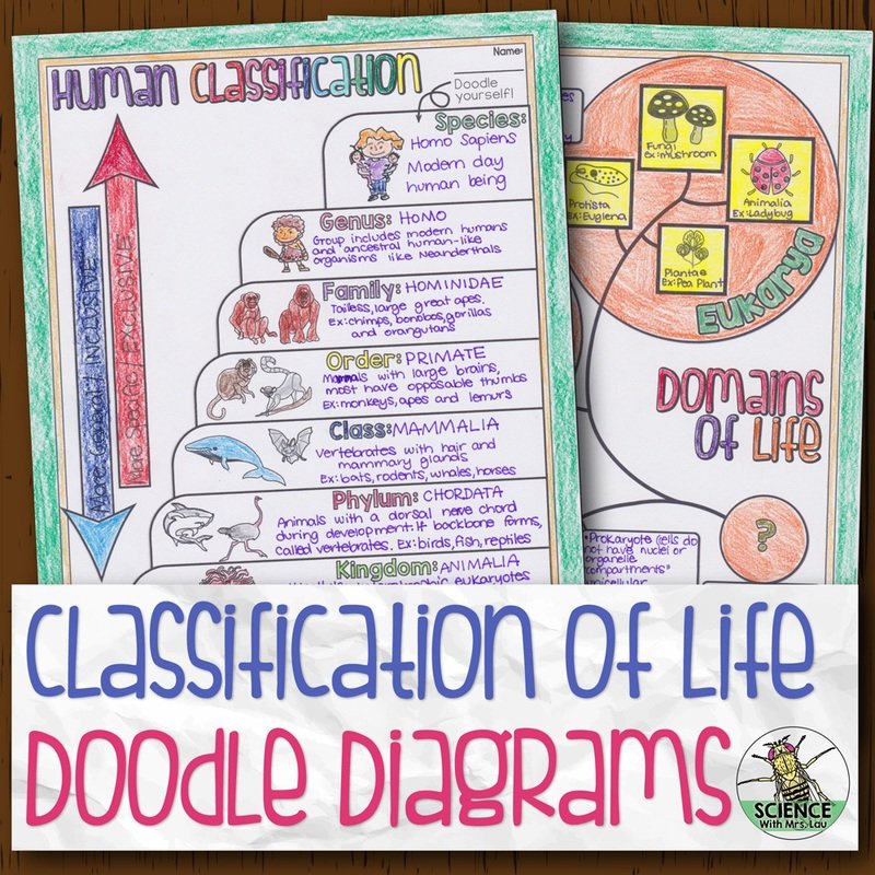 Classification of Life