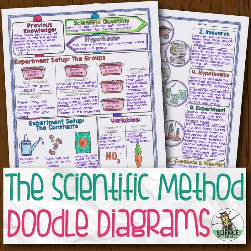 Scientific Method and Experiment Design Doodle Diagram