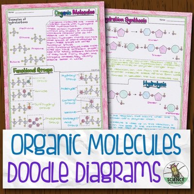 Organic Molecules Doodle Diagram Notes