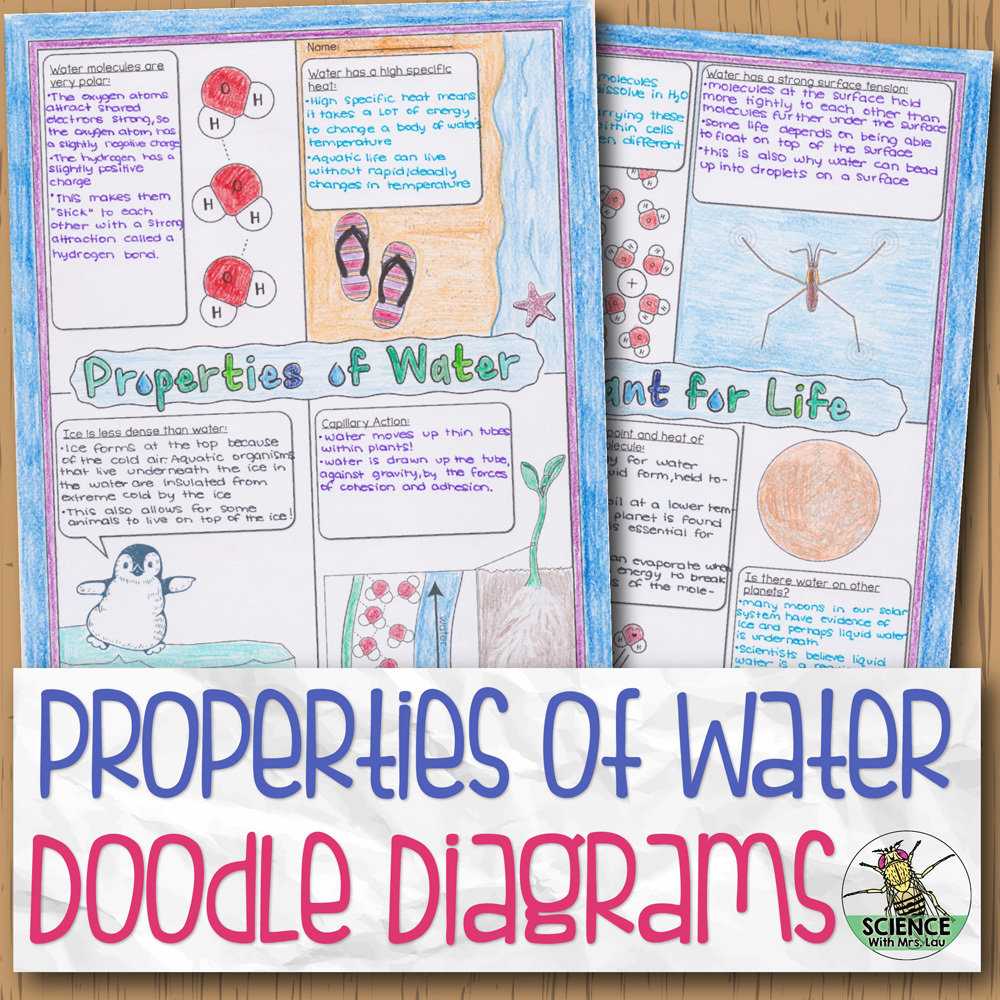 Properties of Water Doodle Diagrams With Properties Of Water Worksheet Answers