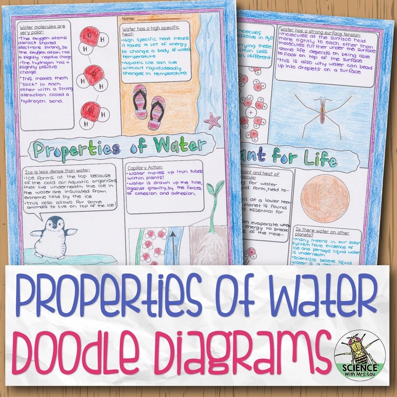 Properties of Water Doodle Diagrams