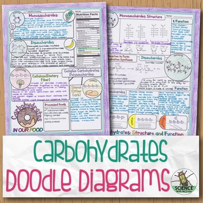 Carbohydrates Doodle Diagram Notes
