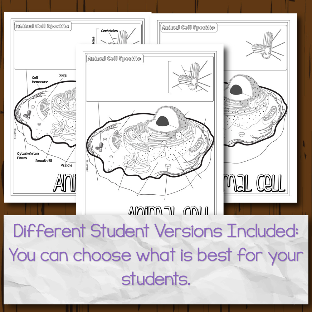 Animal Cell Organelles Digital Doodle Answer Key - Cell Organelles Doodle Notes Worksheets Teaching Resources Tpt : You fill in the order form with your basic requirements for a paper: