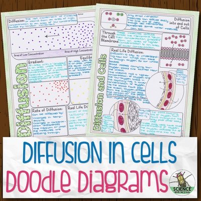 Diffusion in Cells Doodle Diagram Notes