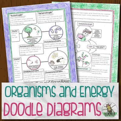 Organisms and Energy Doodle Diagrams