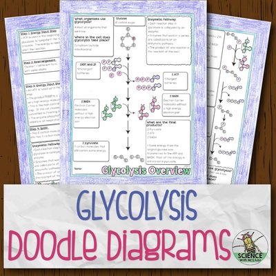 Glycolysis Doodle Diagrams