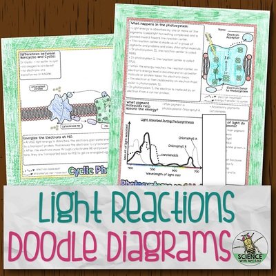 Light Dependent Reactions Doodle Diagrams