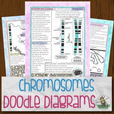 Chromosomes Doodle Diagrams