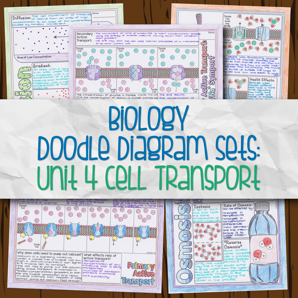 Unit 4: Cell Transport DD | Store - Science and Math with Mrs. Lau