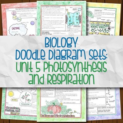 Unit 5: Cell Energetics DD