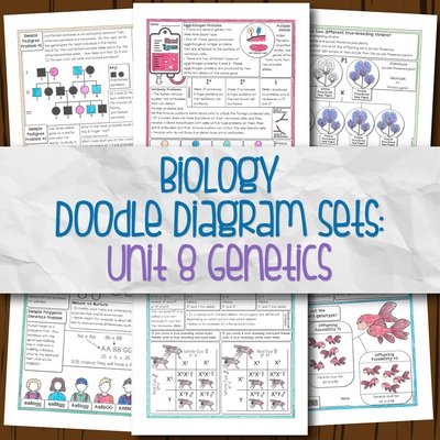 Unit 8: Genetics DD