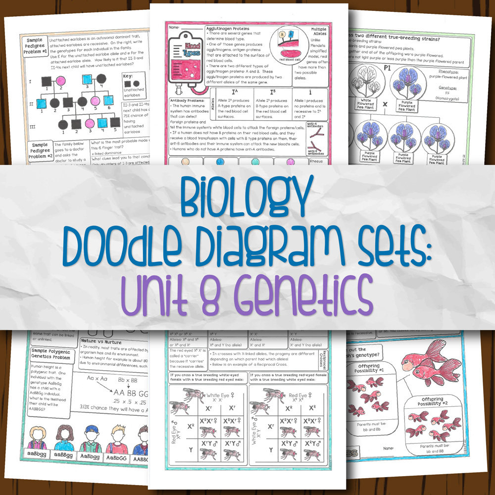 Unit 8: Genetics DD | Store - Science and Math with Mrs. Lau