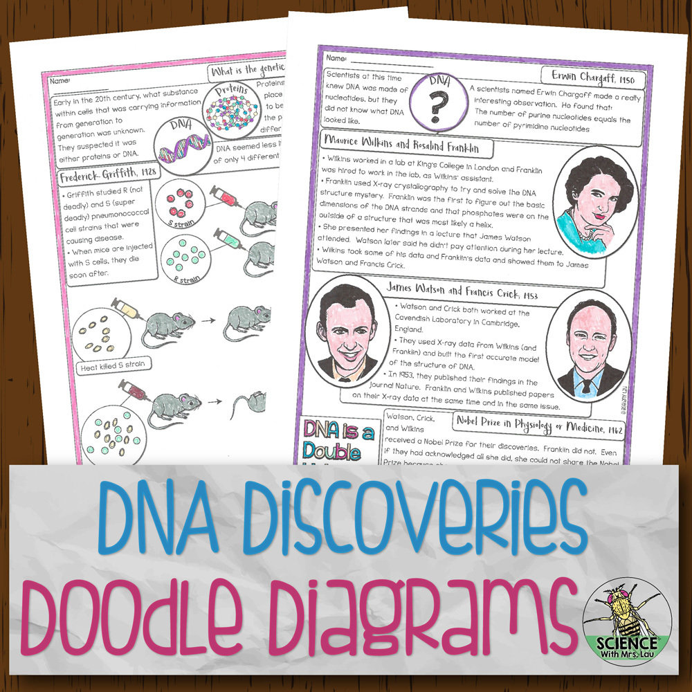 History of DNA Doodle Diagrams