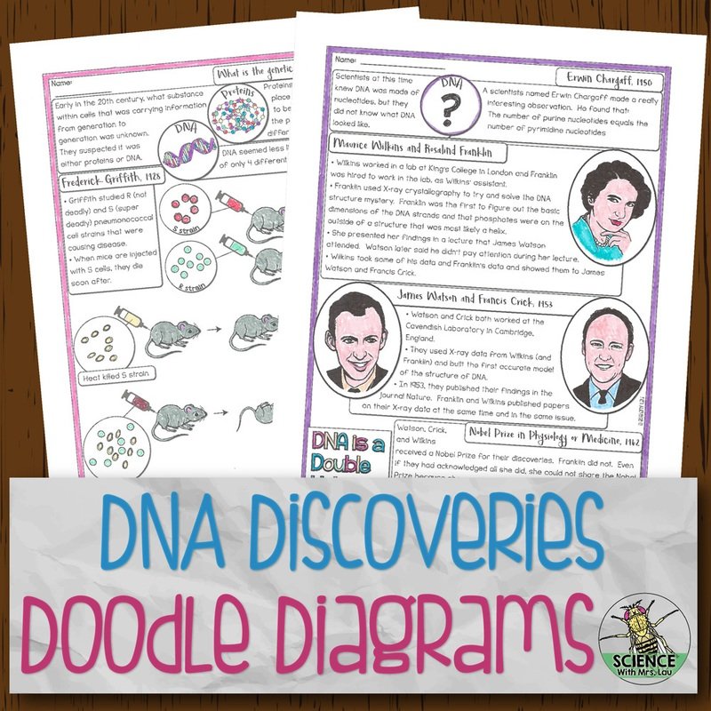 History of DNA Doodle Diagrams