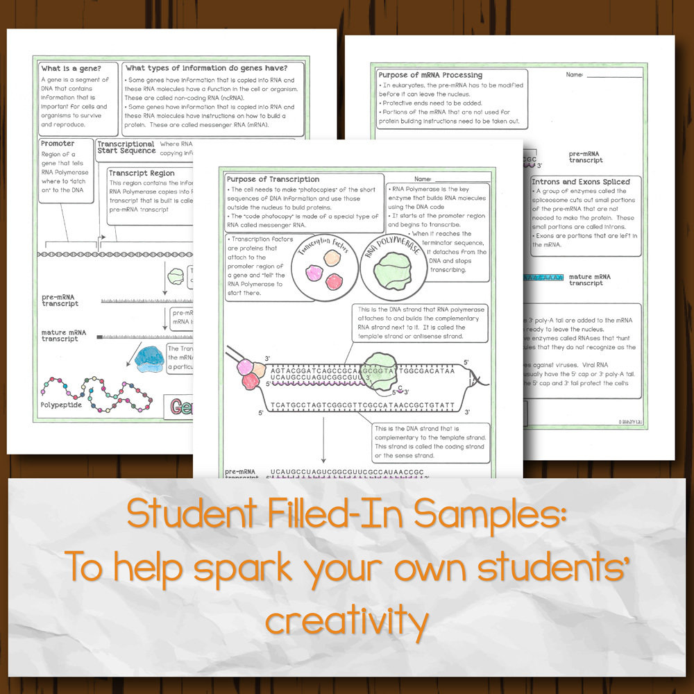 ゆうき★RNA★コンフューズキャラプリント➕マウスプリントポケロンT2点★ Induction and expansion of human PRRX1+ limb-bud-like mesenchymal