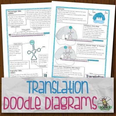 Translation Doodle Diagrams
