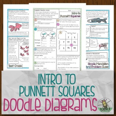 Intro to Punnett Squares Doodle Diagrams
