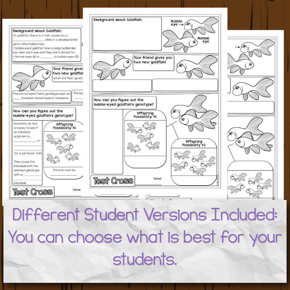 Intro To Punnett Squares Doodle Diagrams