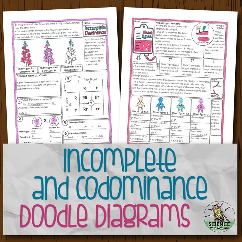 Incomplete and Codominance Doodle Diagrams