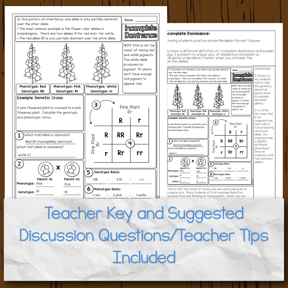 Genetics unit codominance worksheet
