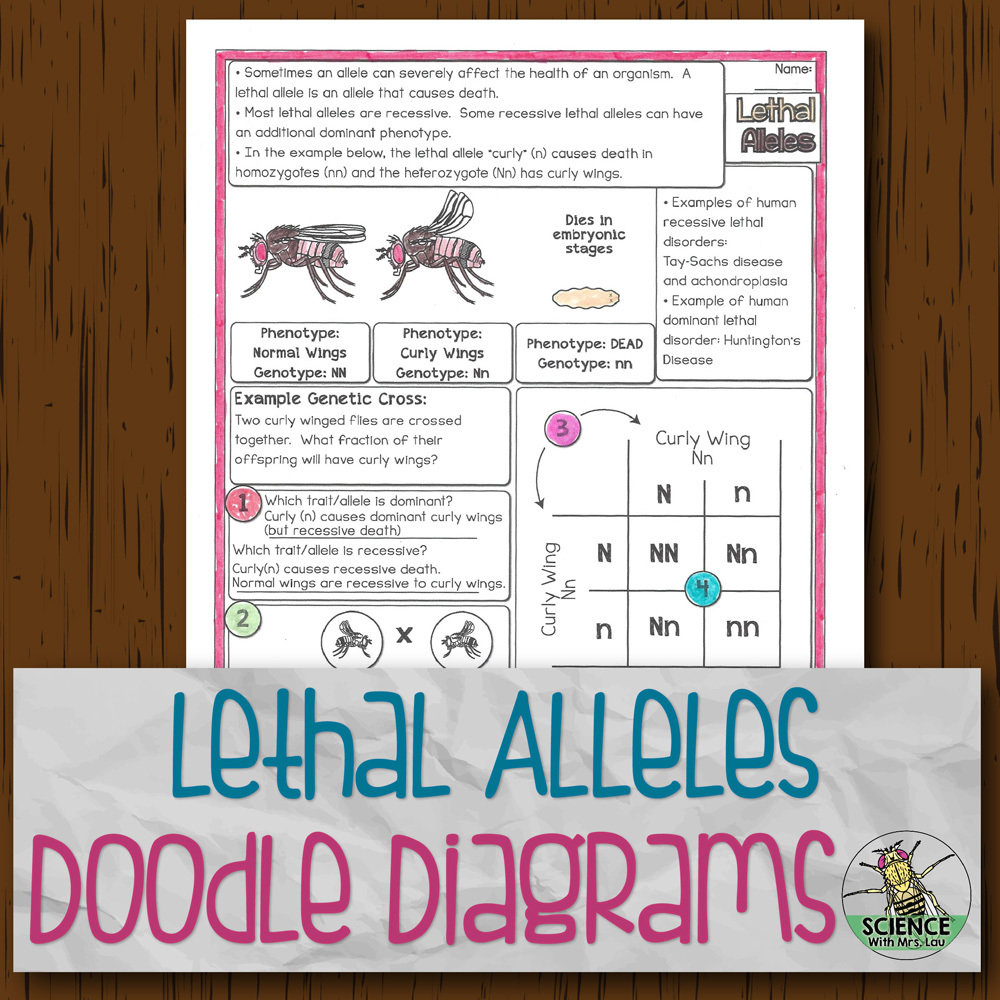 Lethal Alleles Doodle Diagrams