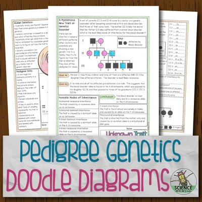 Pedigree Genetics Doodle Diagrams