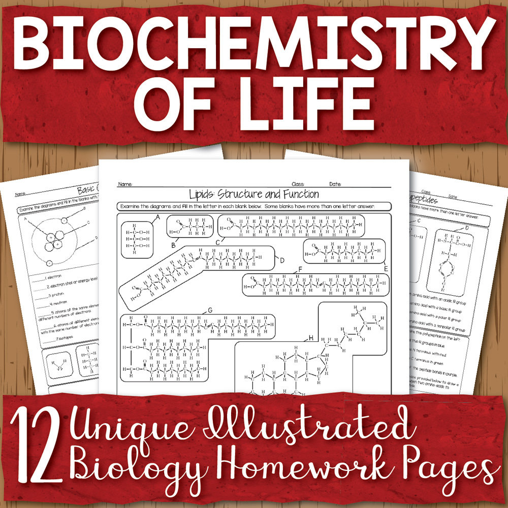 Biochemistry Homework Unit