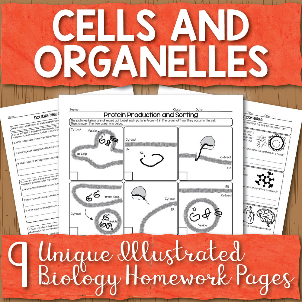 Cells and Organelles Homework Unit