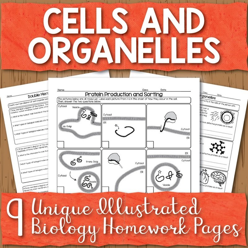 Cells and Organelles Homework Unit