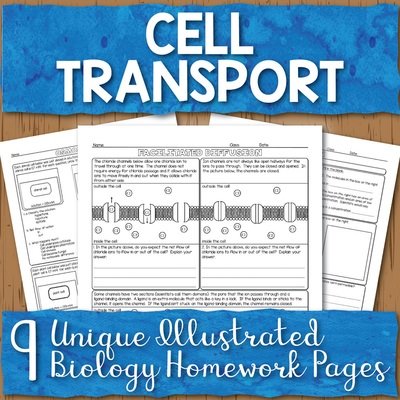 Cell Transport Homework Pages