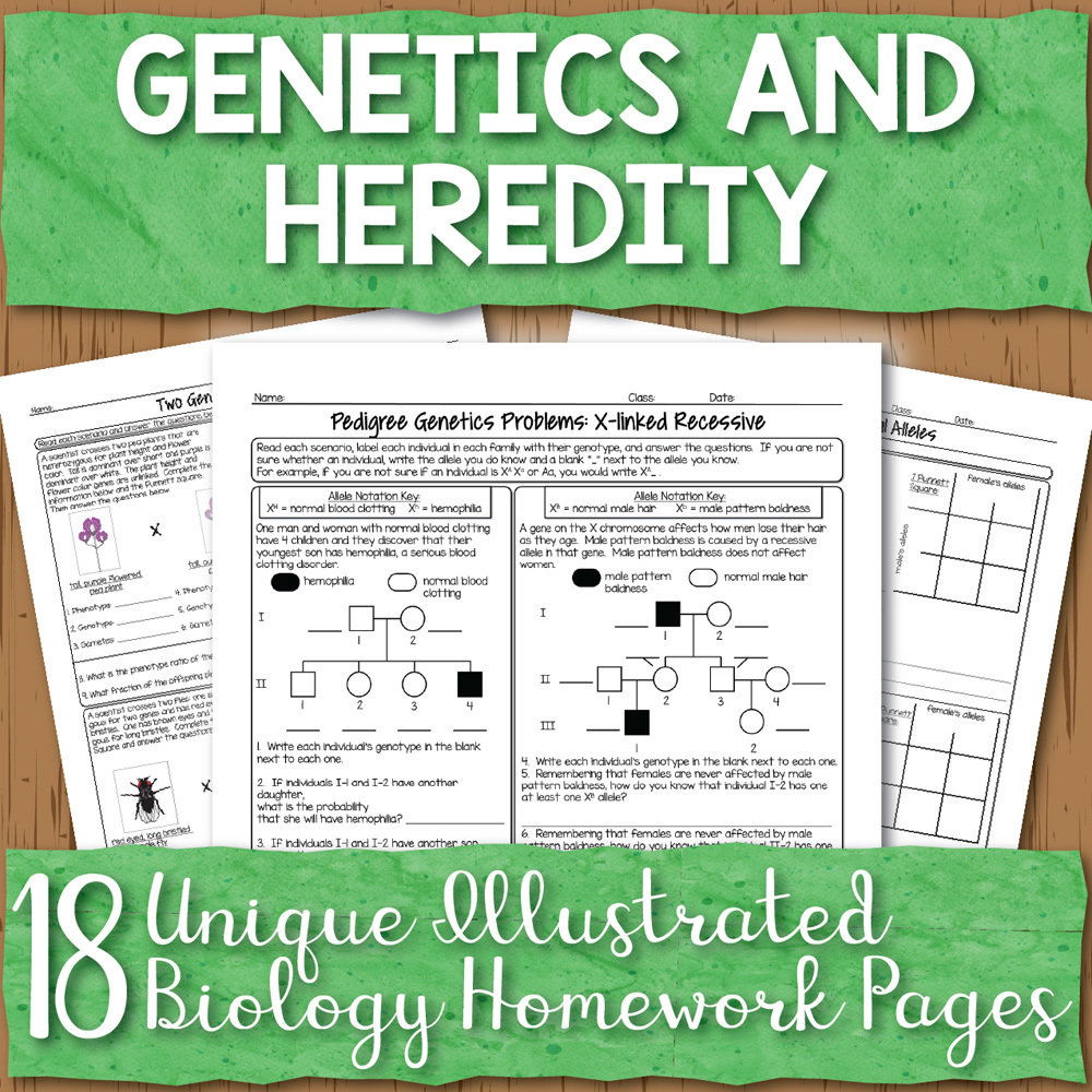 Genetics Homework Pages