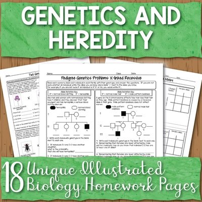 Genetics Homework Pages