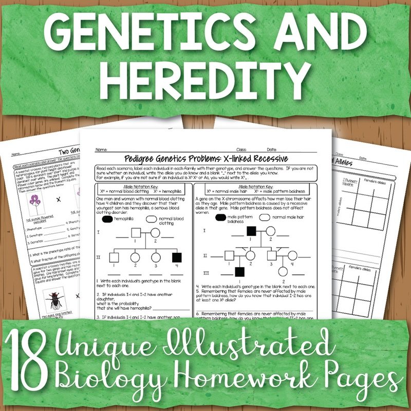 Genetics Homework Pages