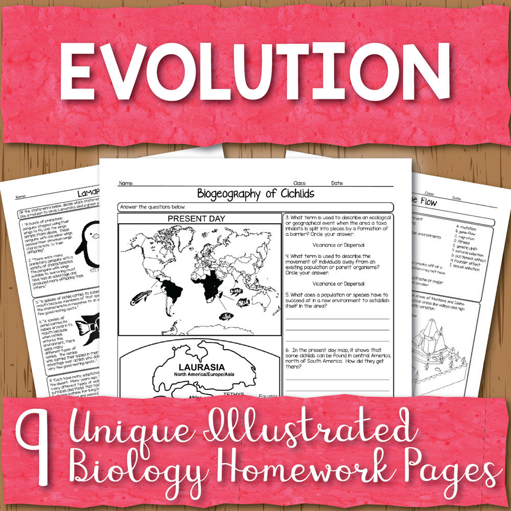 Evolution Homework Pages