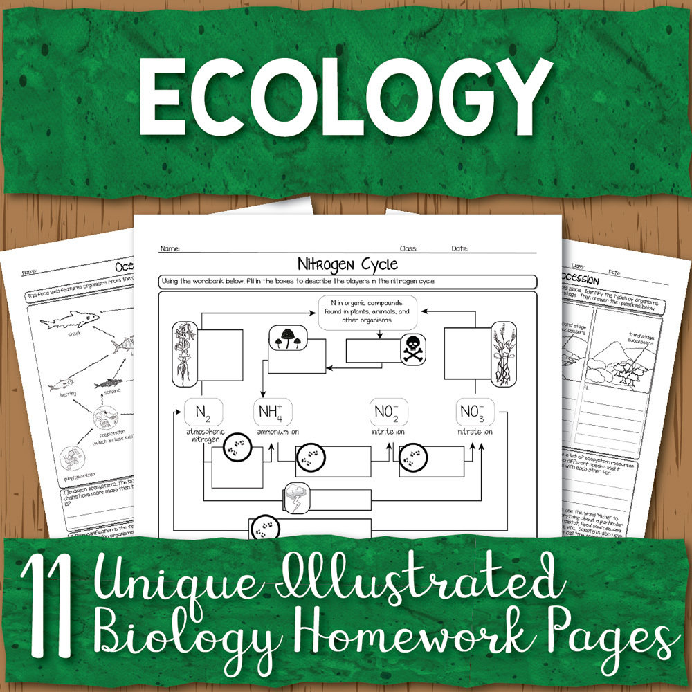 Ecology Homework Pages Store Science And Math With Mrs Lau