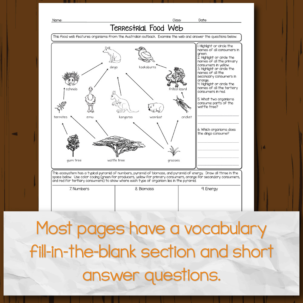 Ecology Homework Pages Store Science And Math With Mrs Lau