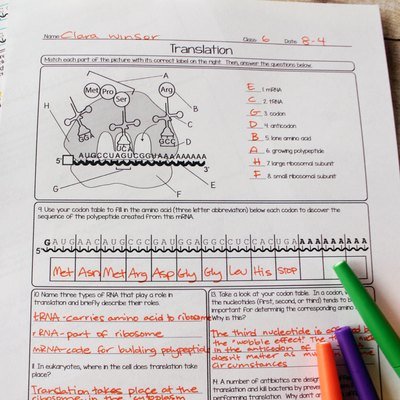 Unit 7: Protein Synthesis Resources