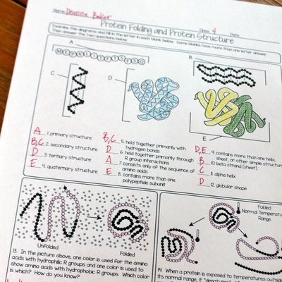 Unit 2: Biochemistry Resources