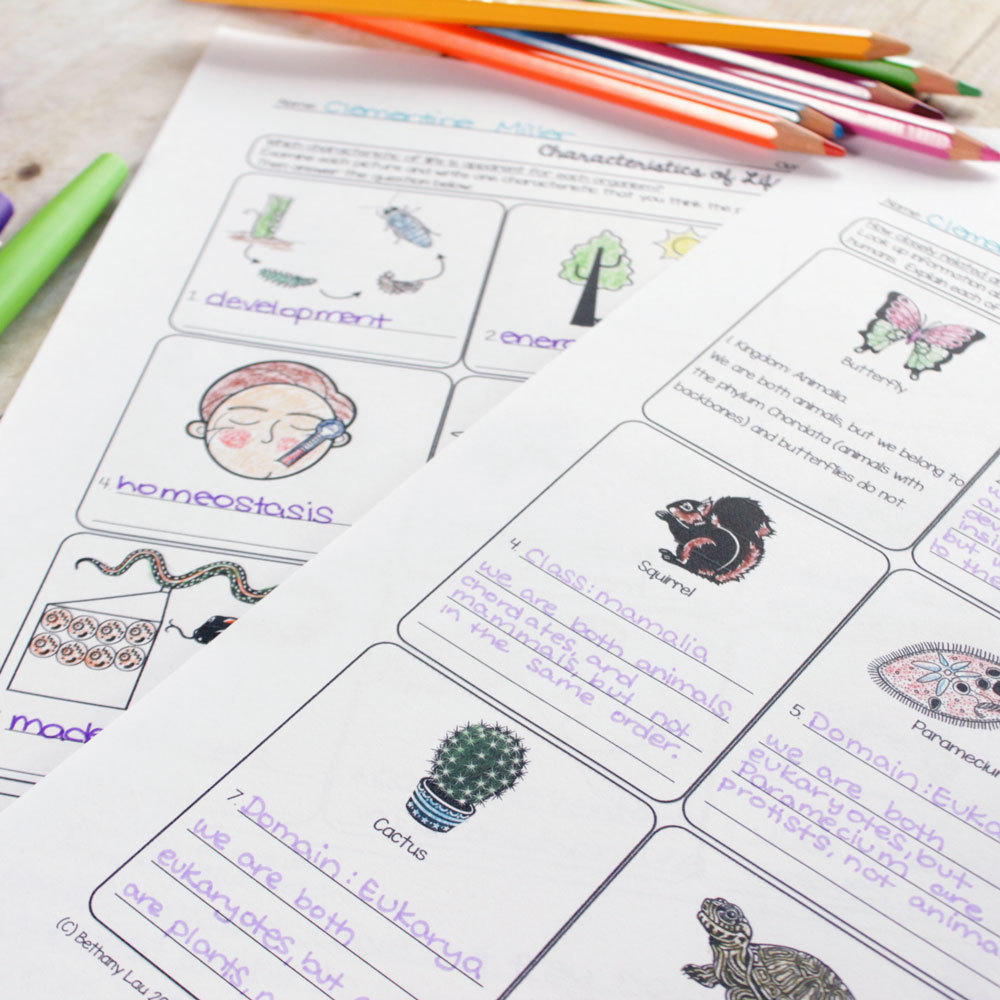 Unit 1: Intro to Bio Resources | Store - Science and Math with Mrs. Lau