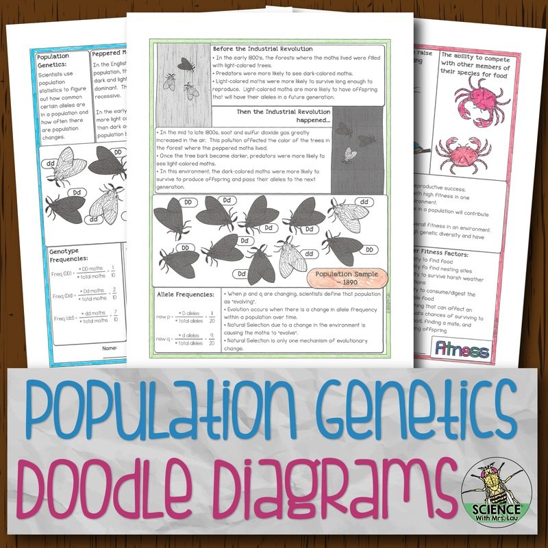 Population Genetics and Fitness Doodle Diagrams
