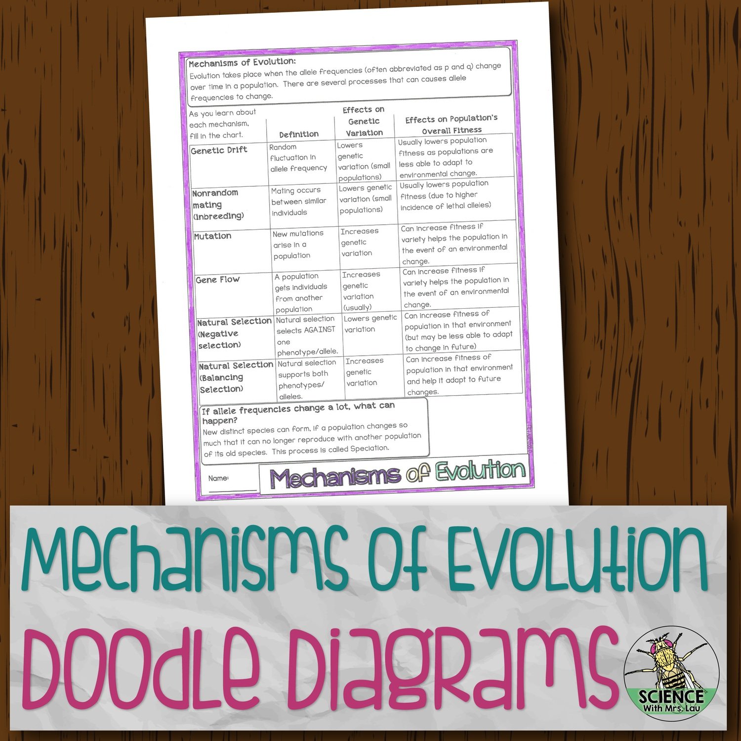 Mechanisms of Evolution Doodle Diagram | Store - Science and Math with Mrs.  Lau
