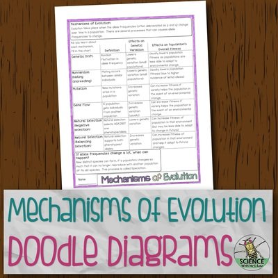Mechanisms of Evolution Doodle Diagram