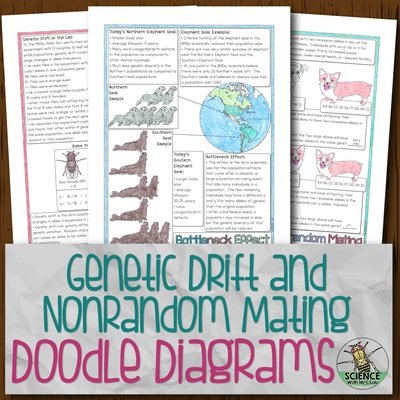 Genetic Drift and Nonrandom Mating Doodle Diagrams