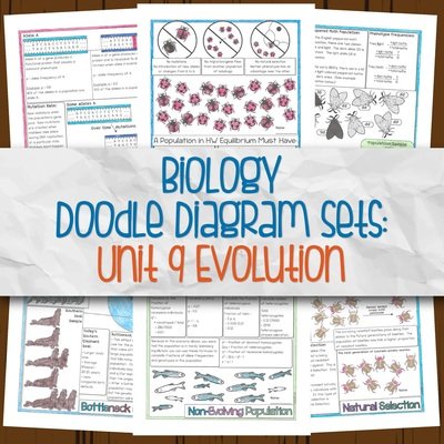 Unit 9: Evolution DD