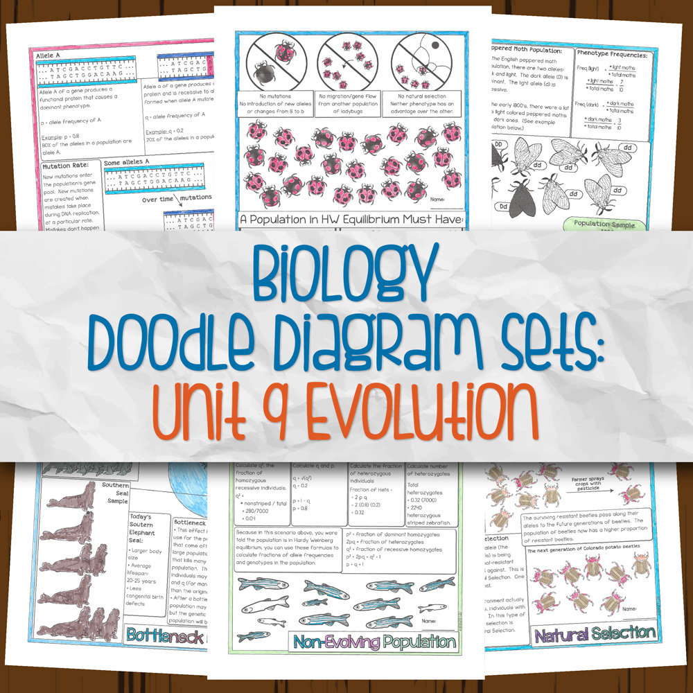 Unit 9: Evolution DD | Store - Science and Math with Mrs. Lau